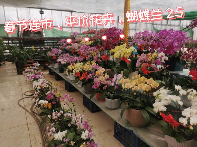 卖楼花是属于合法的吗？